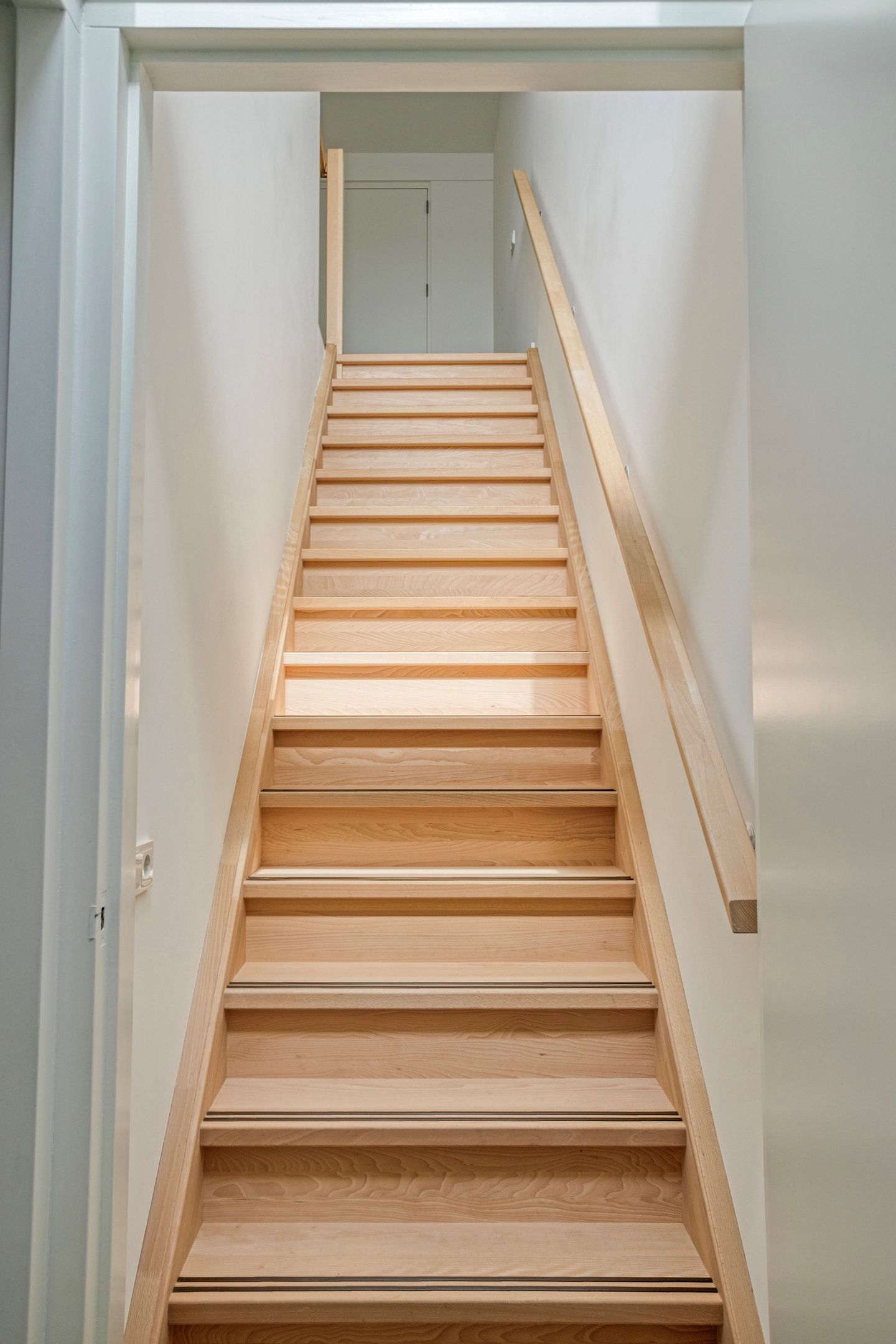 Foto 39 van Muurbloem 4