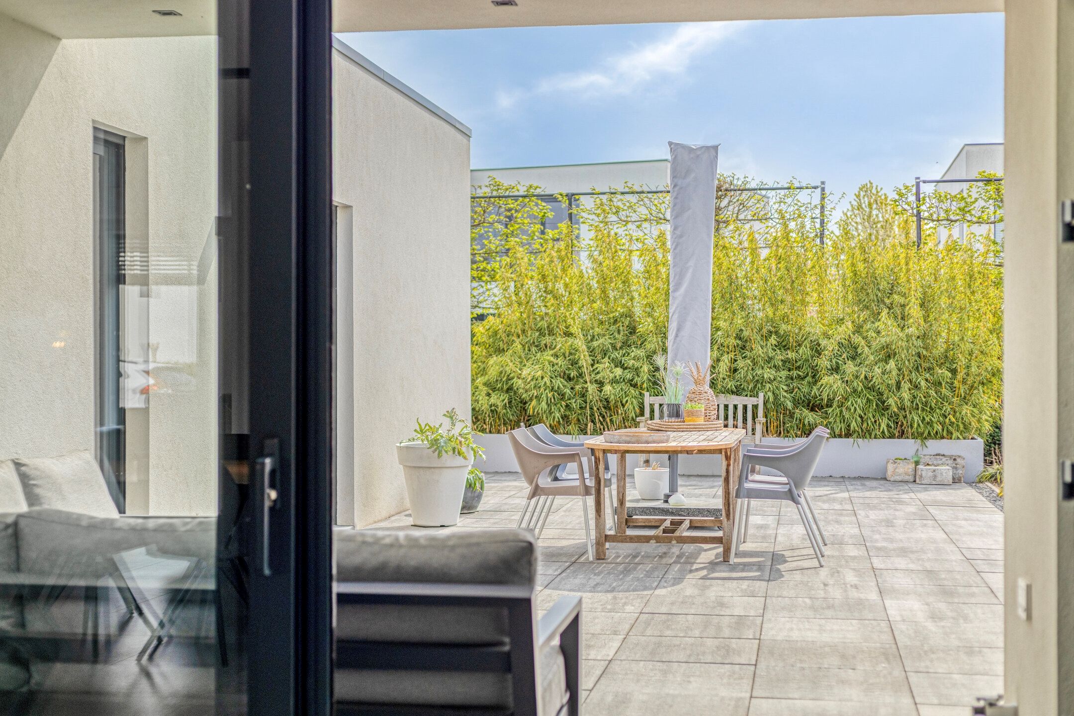 Foto 51 van Muurbloem 4