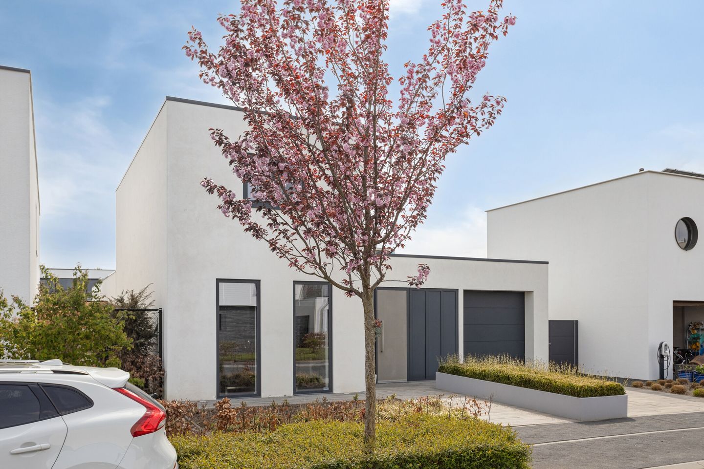 Foto 65 van Muurbloem 4