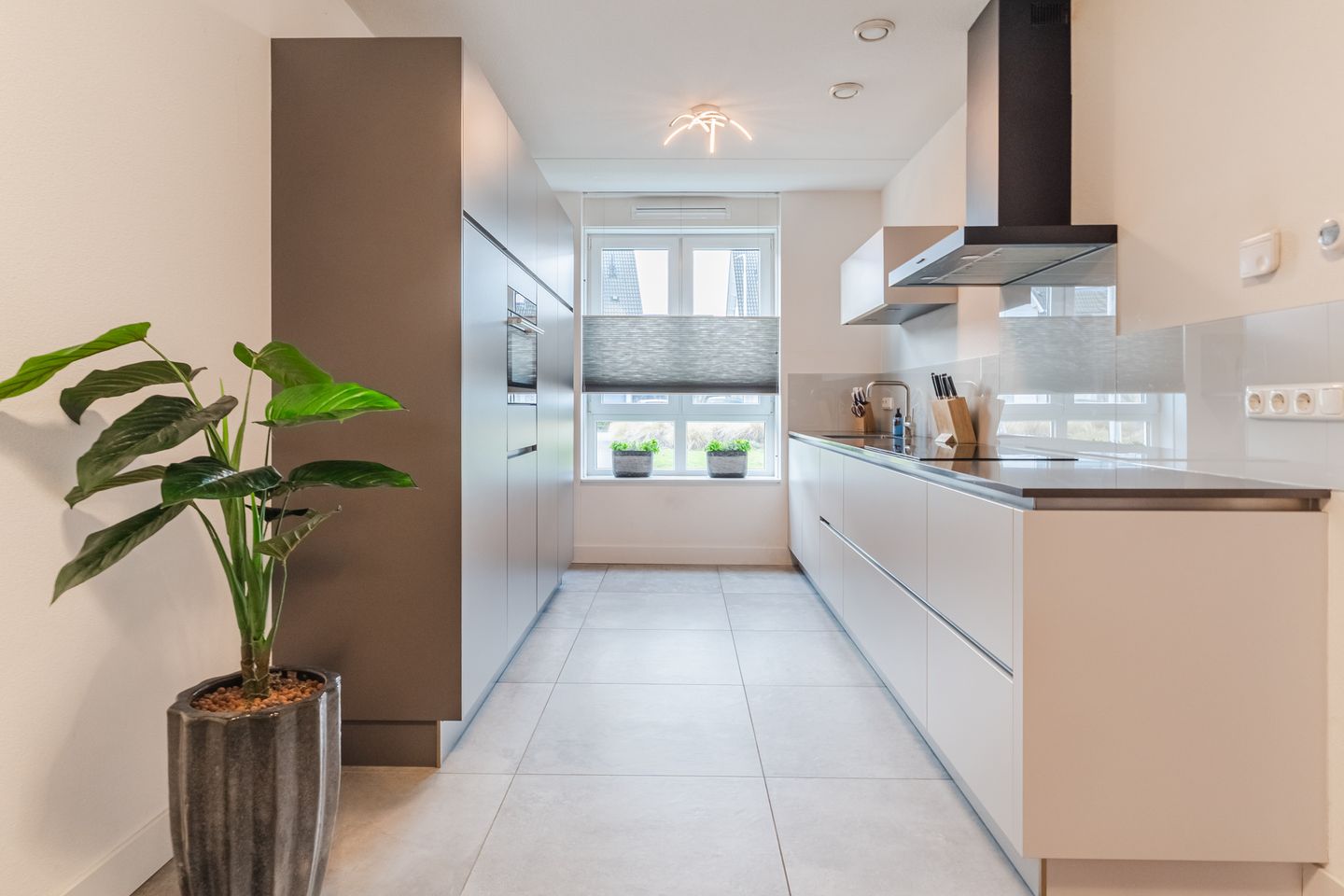 Photo 14 of Pindosstraat 15