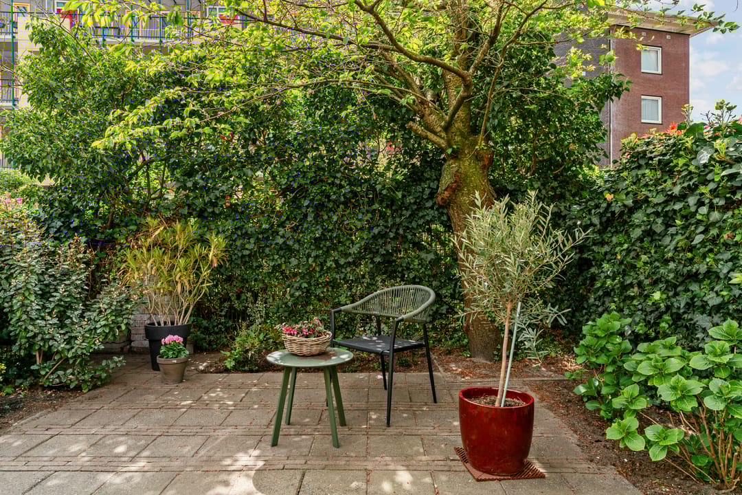 Foto 11 van Delle Alpihof 6