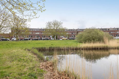 Hampshire 17 secondary image