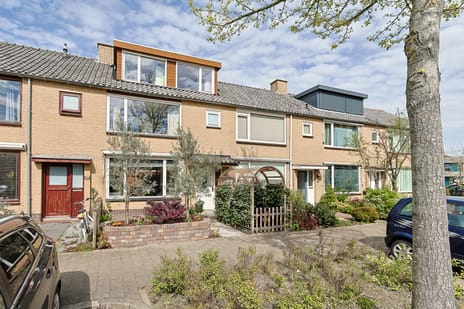 Sterrenlaan thumbnail