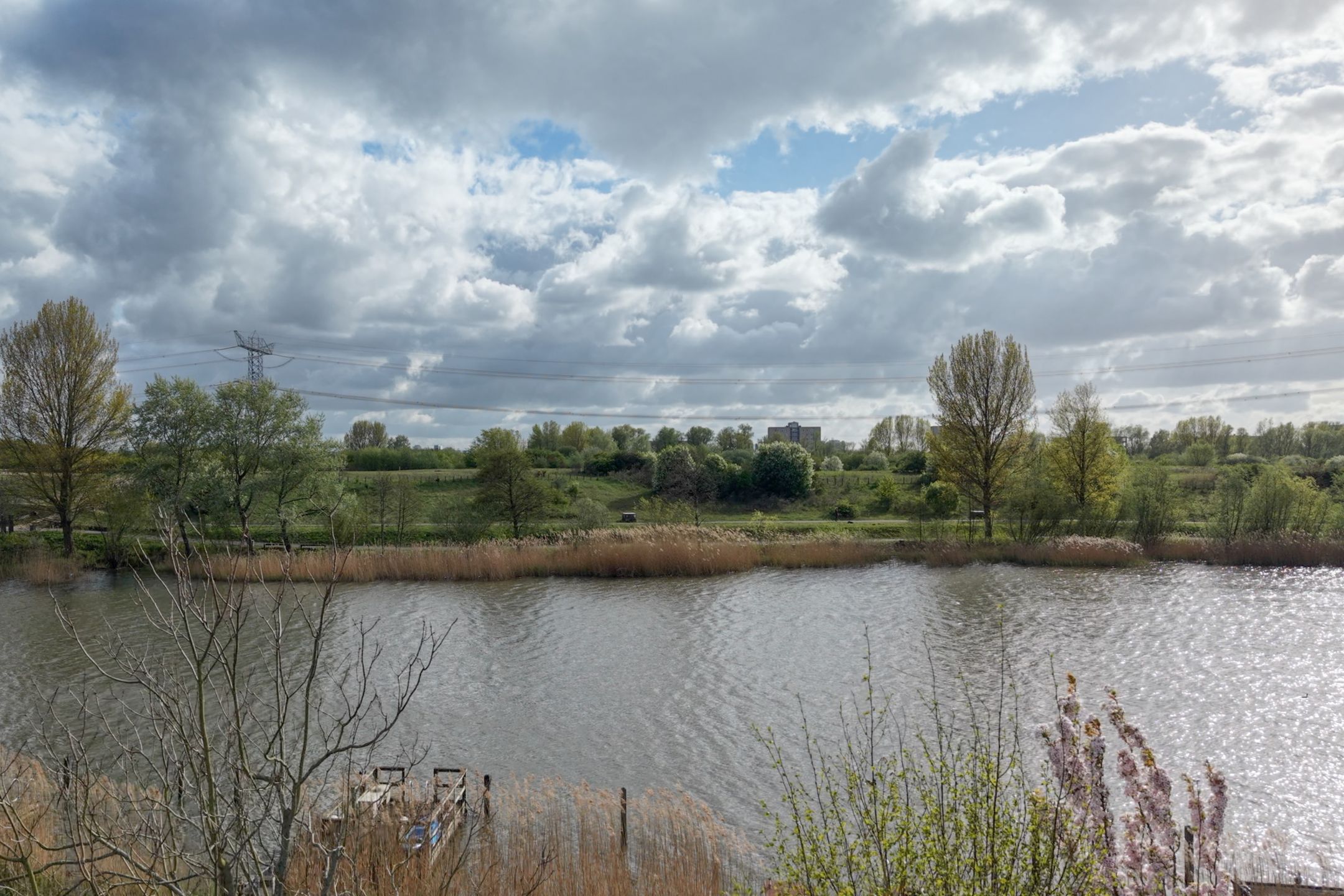 Foto 48 van Lisdoddelaan 36