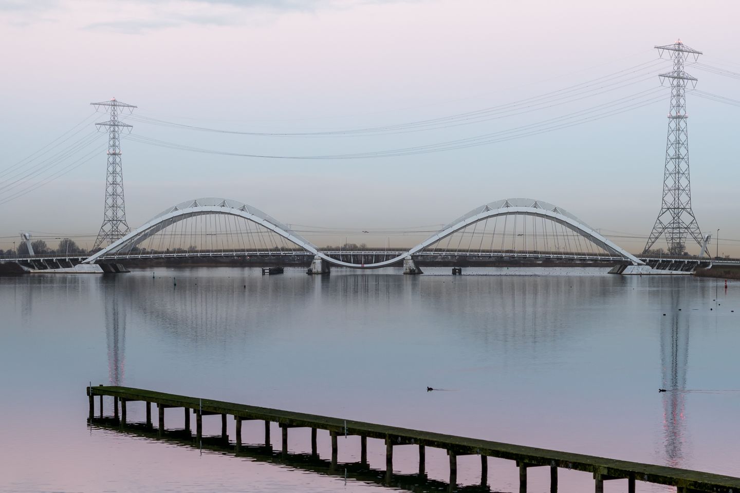 Foto 40 van Lisdoddelaan 36