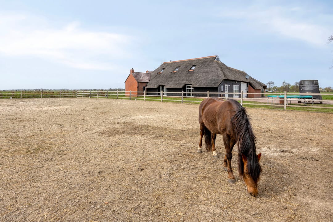 Foto 43 van Fanerweg 18