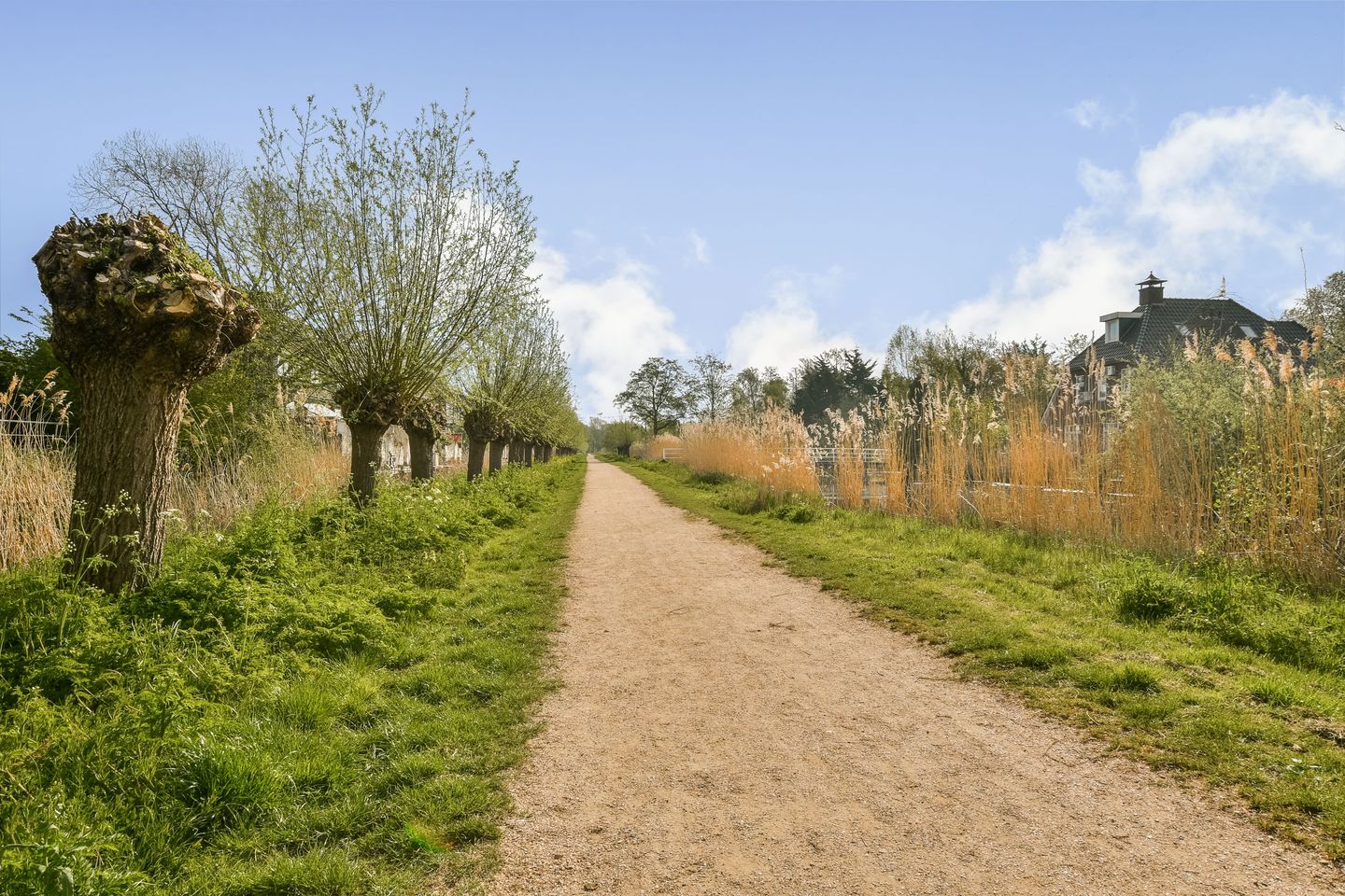 Foto 35 van Knokkestraat 75