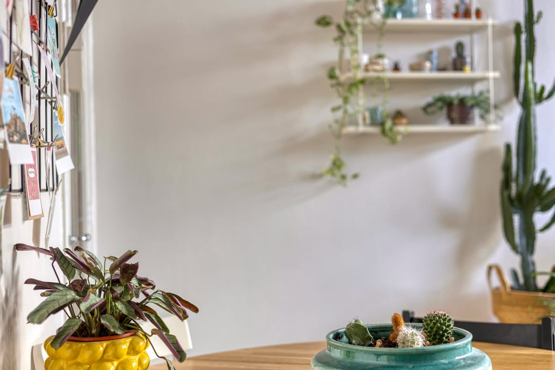 Foto 13 van Borneostraat 18