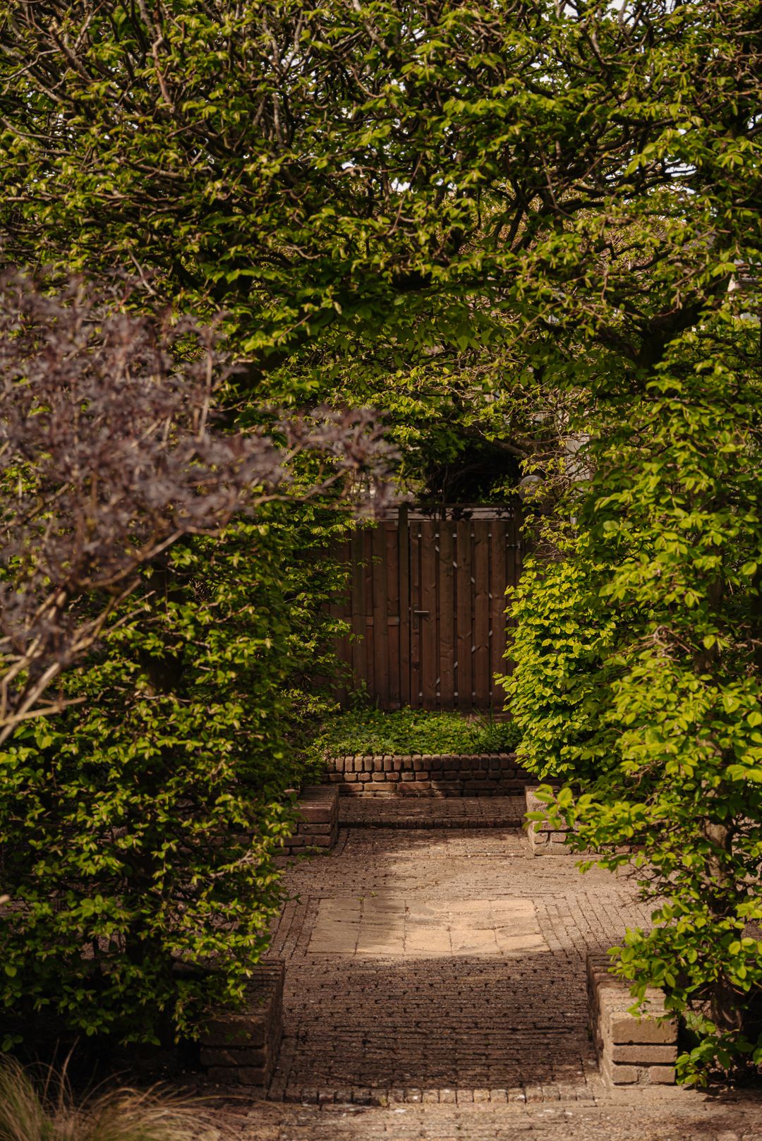 Foto 17 van Aronskelkweg 3