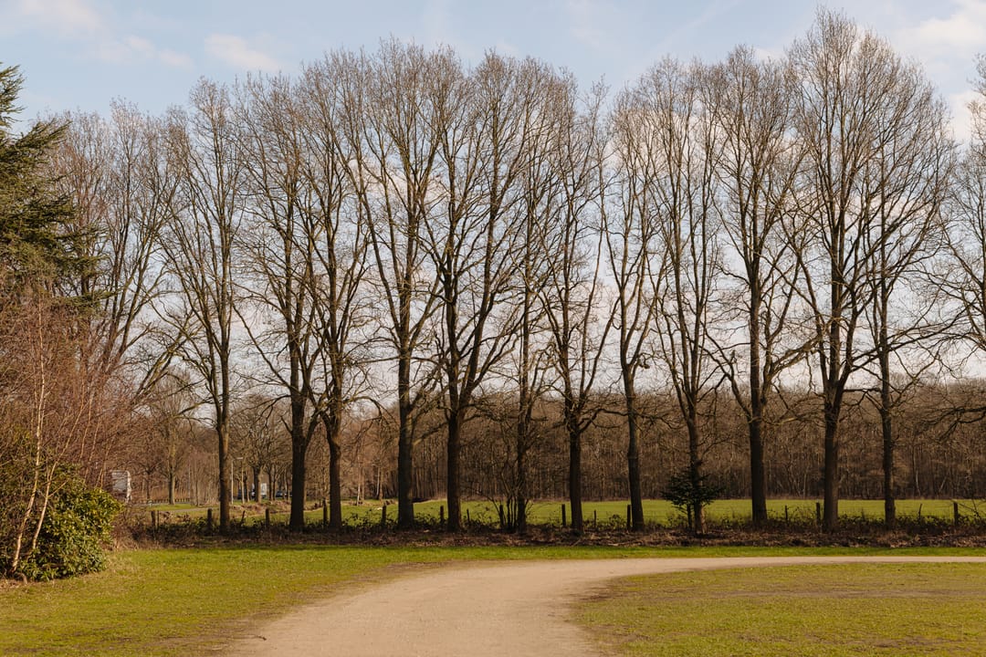 Foto 41 van Aronskelkweg 3