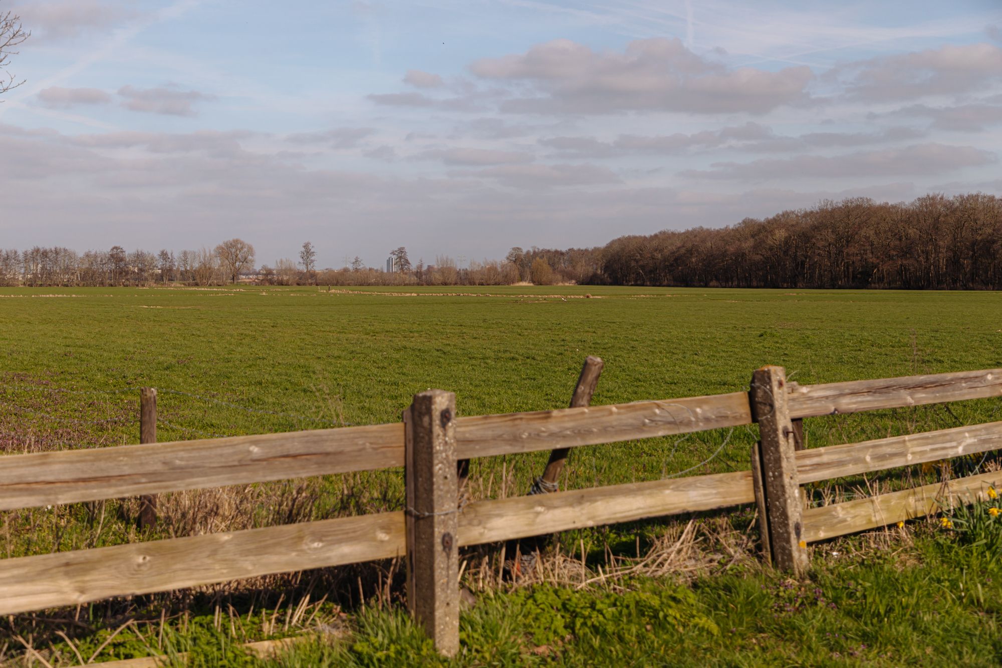 Foto 42 van Aronskelkweg 3