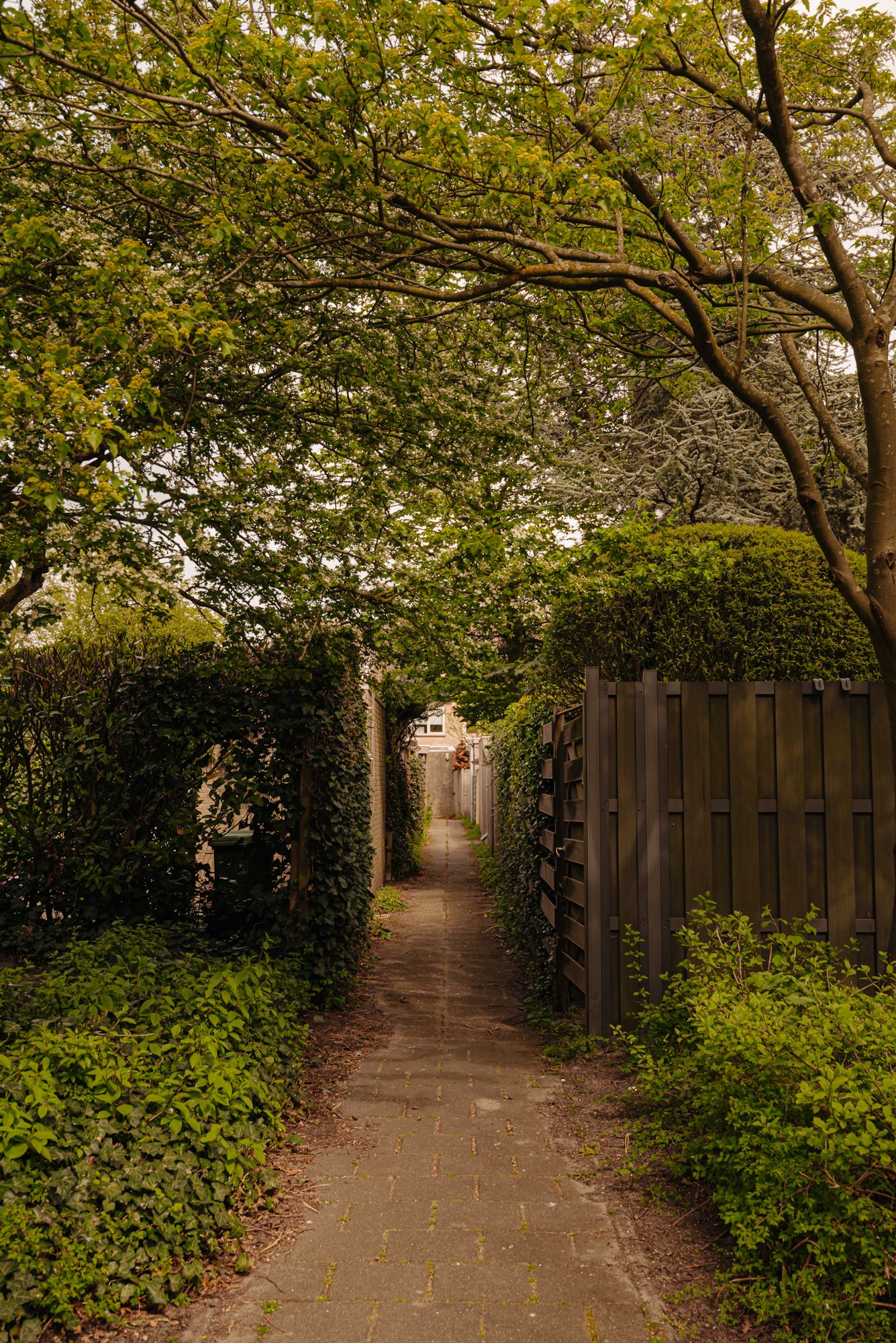 Foto 40 van Aronskelkweg 3