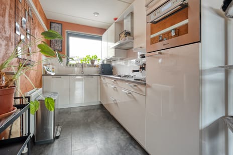 Bronforel 11 tertiary image