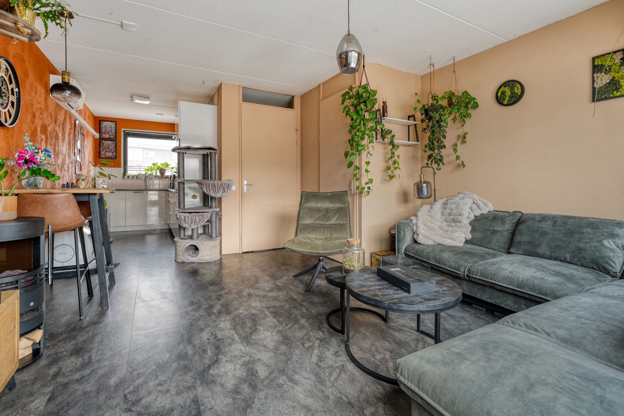 Foto 12 van Bronforel 11