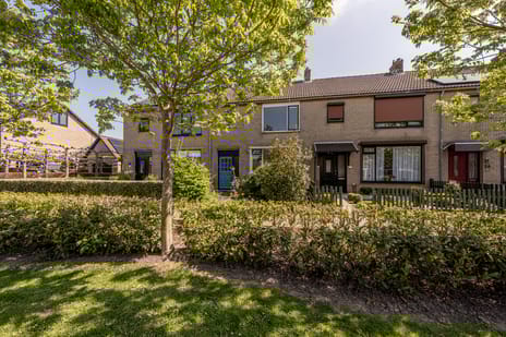 van Oldenbarneveltstraat thumbnail