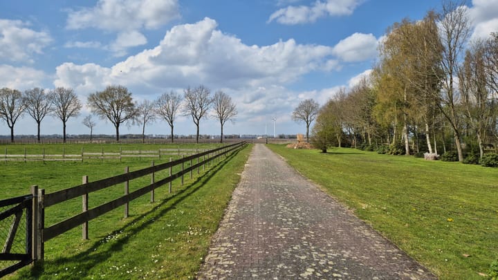 Foto 4 van Zuiderdiep 190
