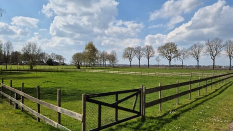 Zuiderdiep 190 secondary image