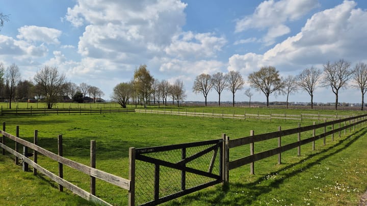 Foto 2 van Zuiderdiep 190
