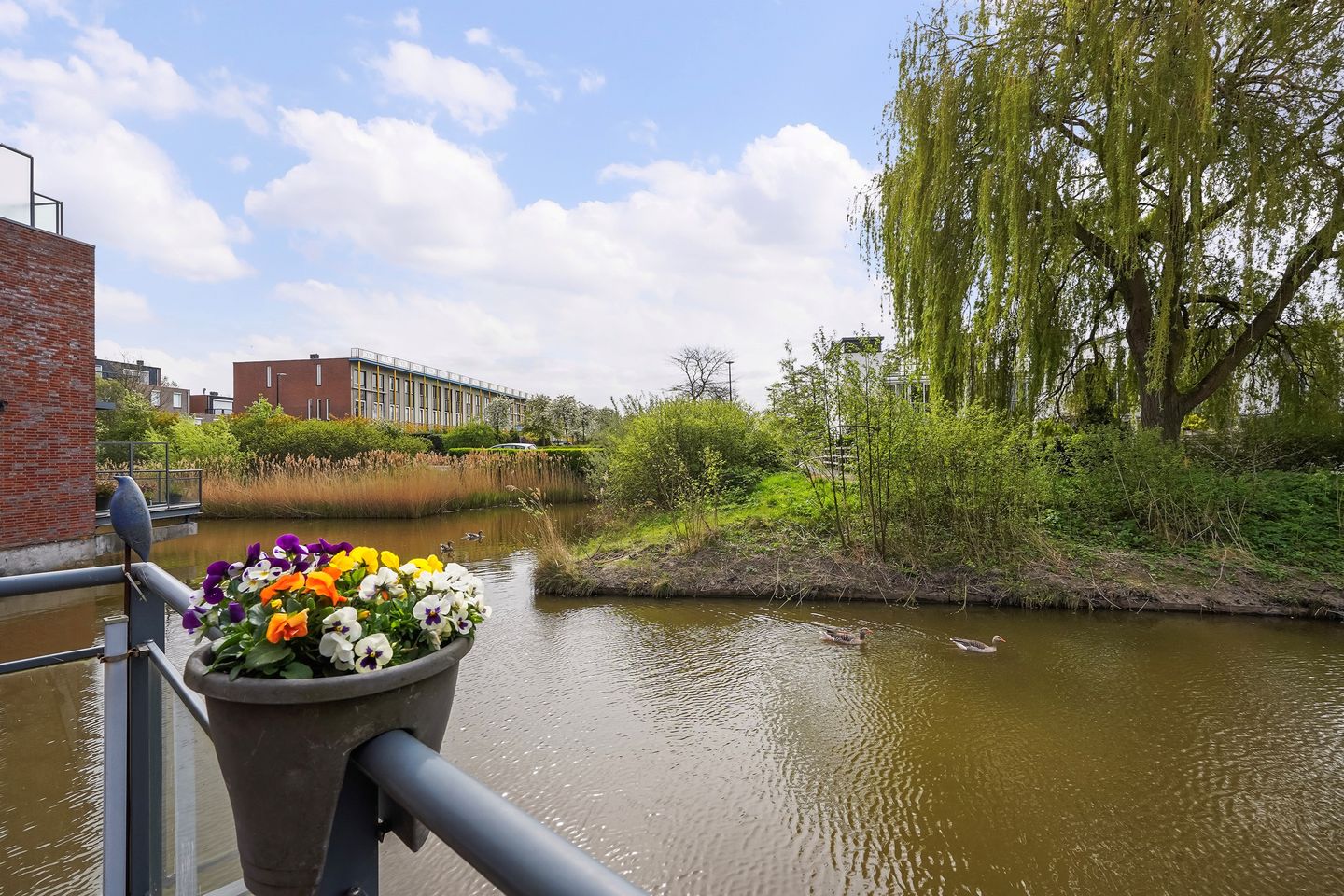 Foto 20 van Endezant 23