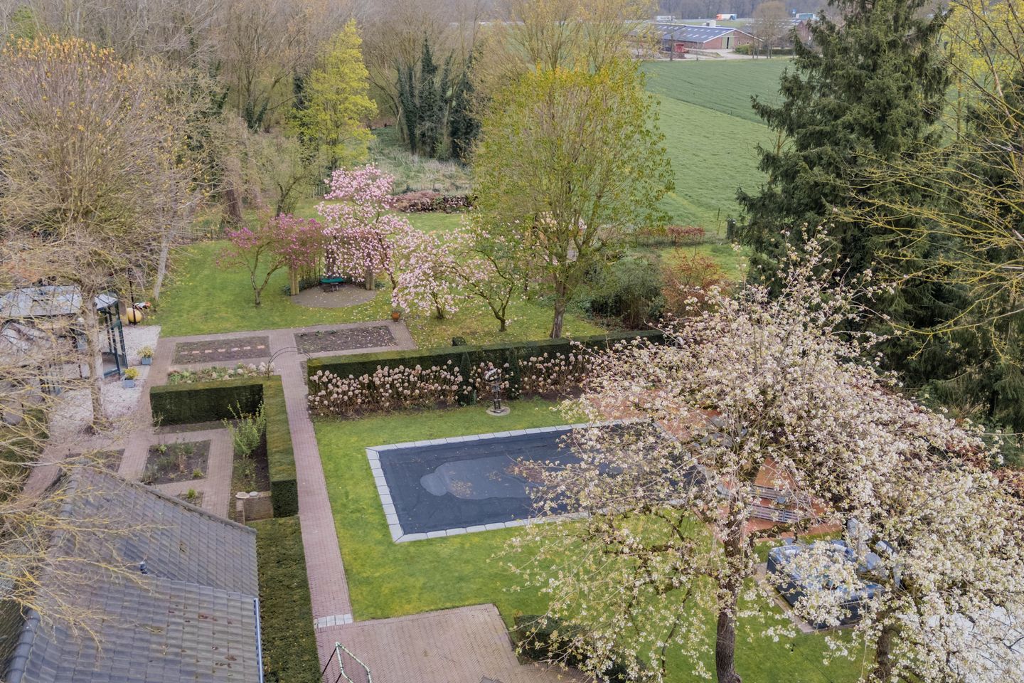 Foto 4 van Achterbos 10