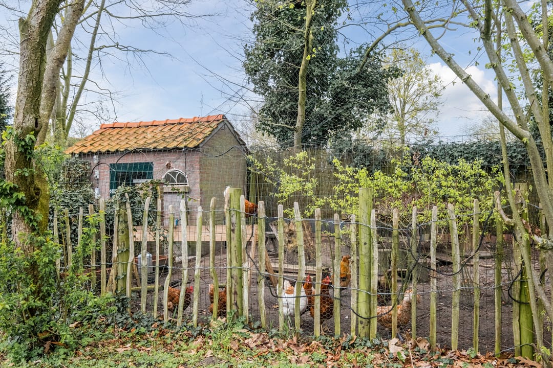 Foto 76 van Achterbos 10