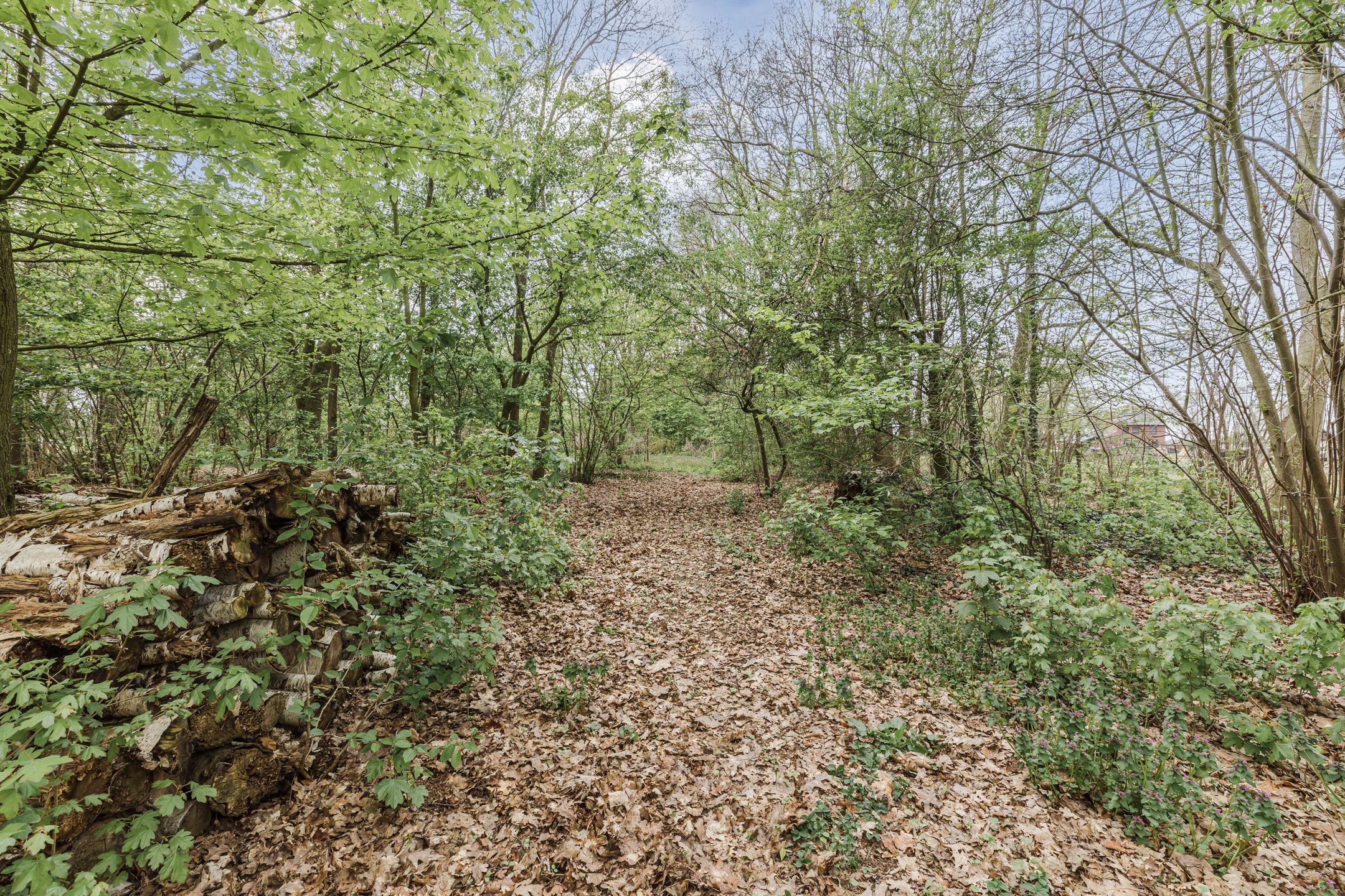 Foto 87 van Achterbos 10