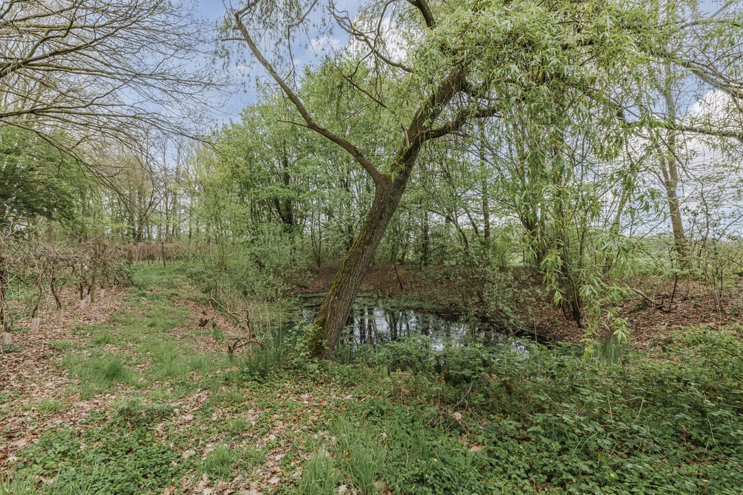 Foto 91 van Achterbos 10