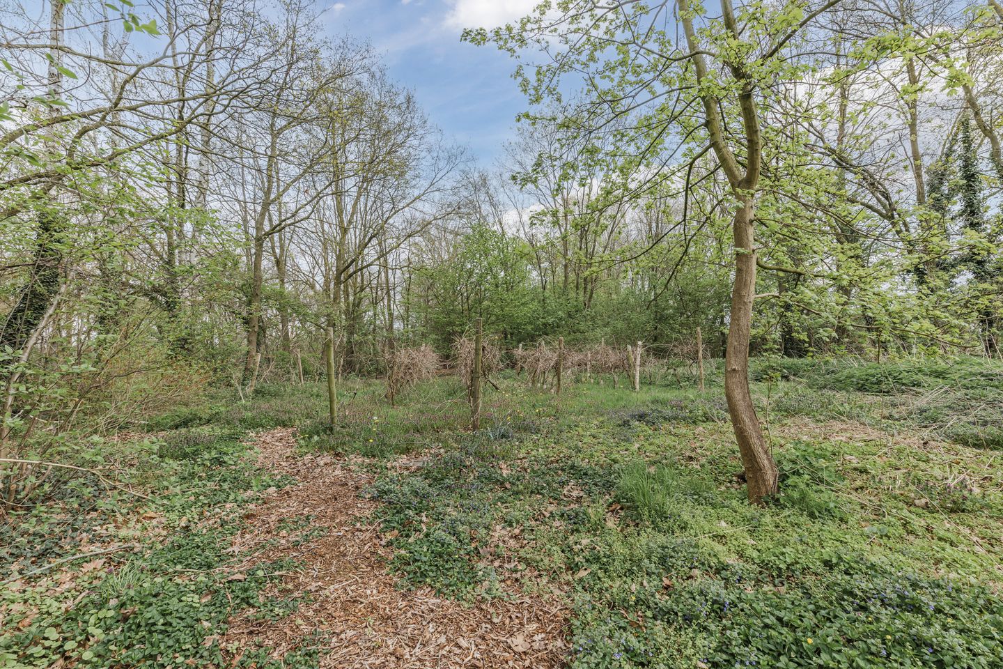 Foto 89 van Achterbos 10