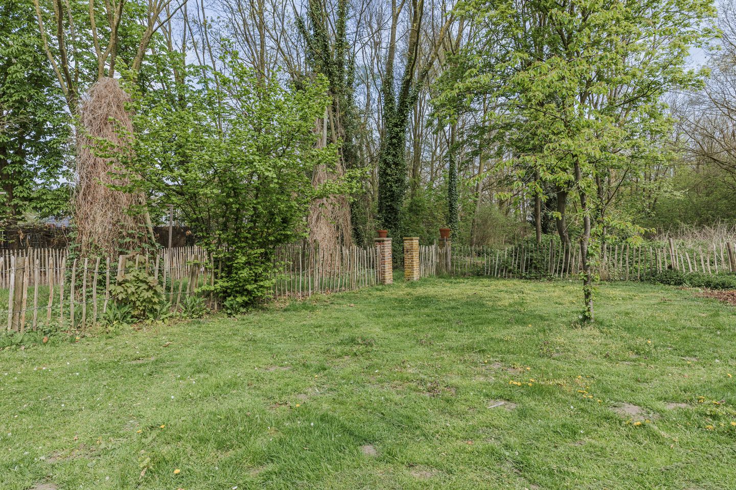 Foto 80 van Achterbos 10