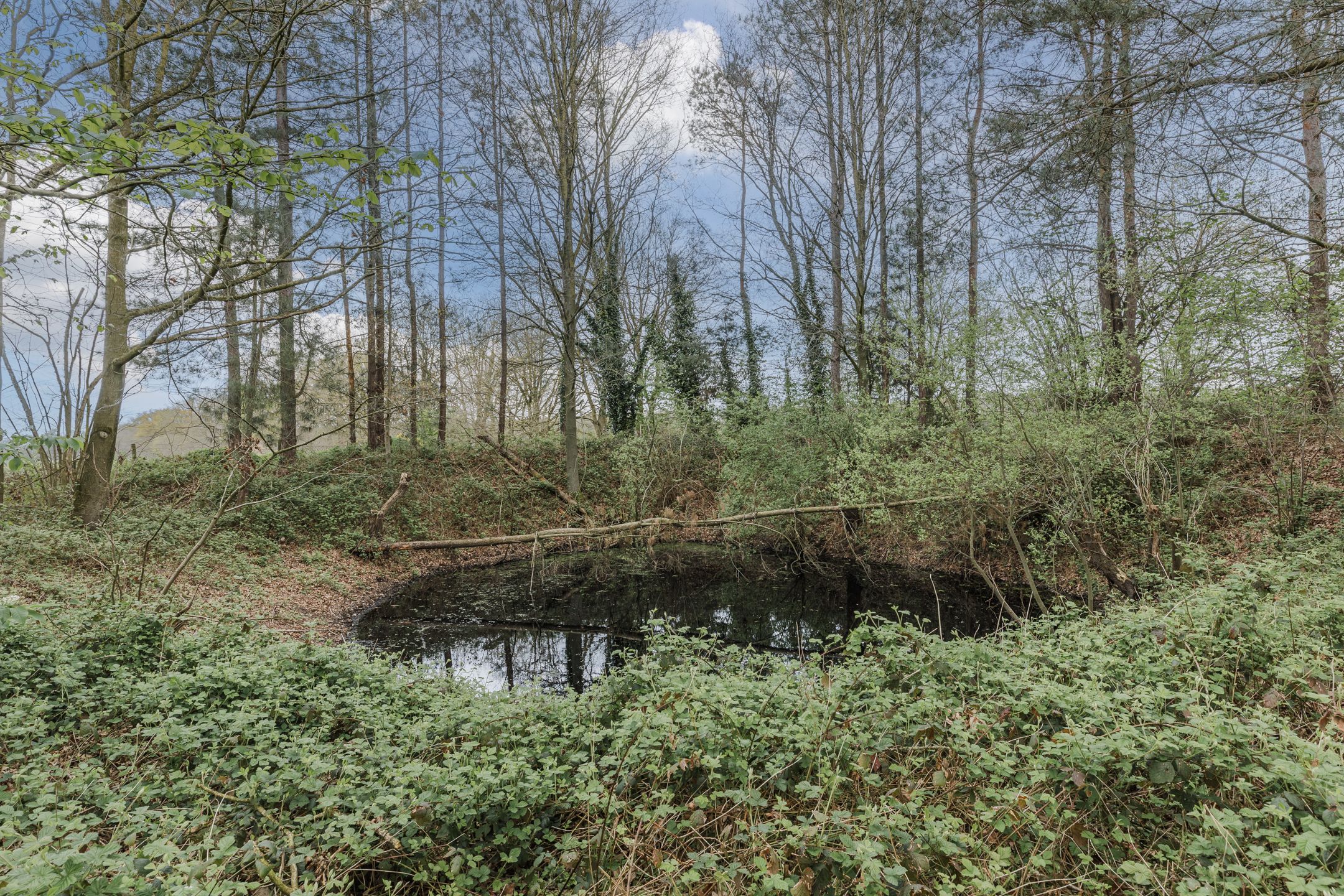 Foto 90 van Achterbos 10