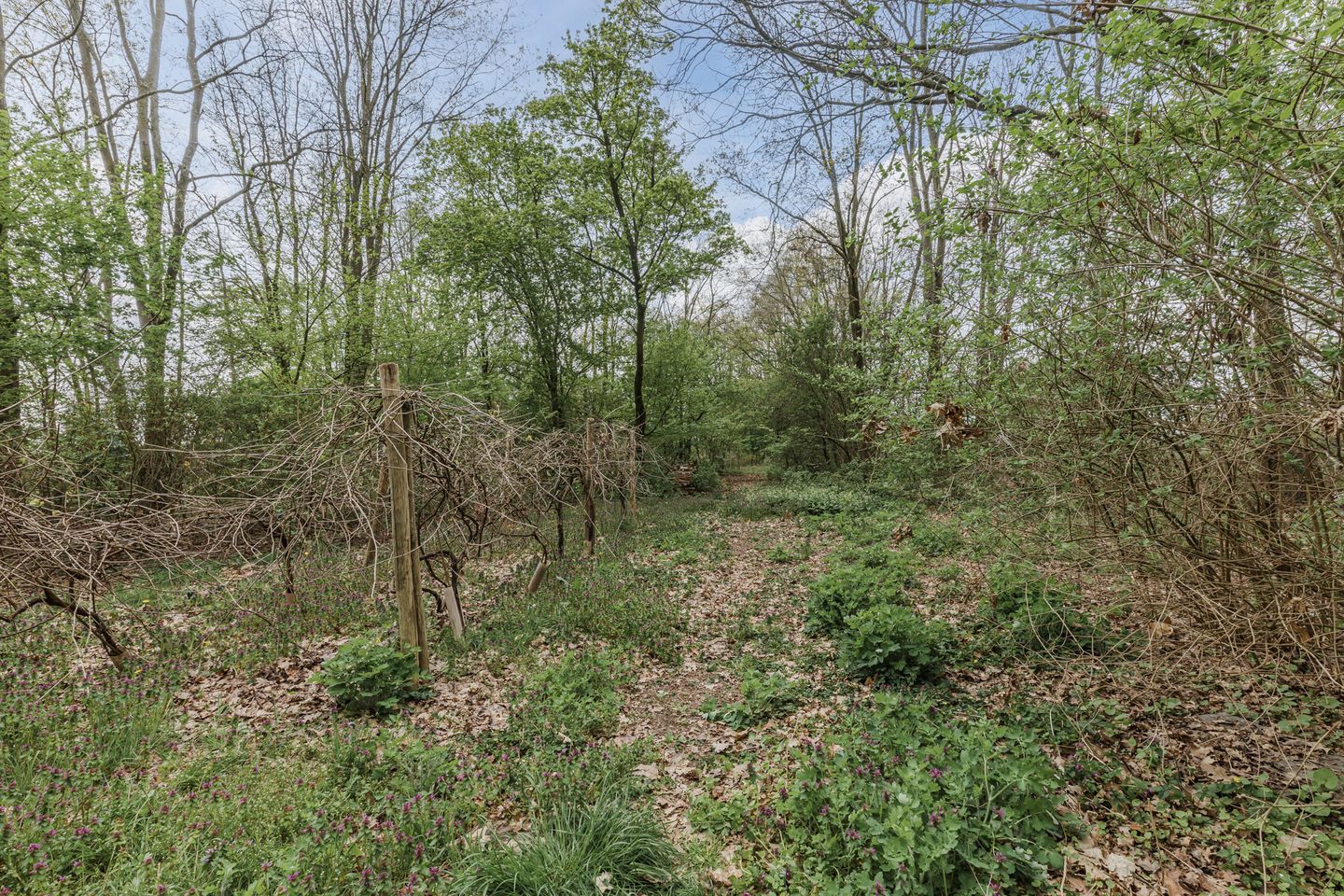 Foto 85 van Achterbos 10