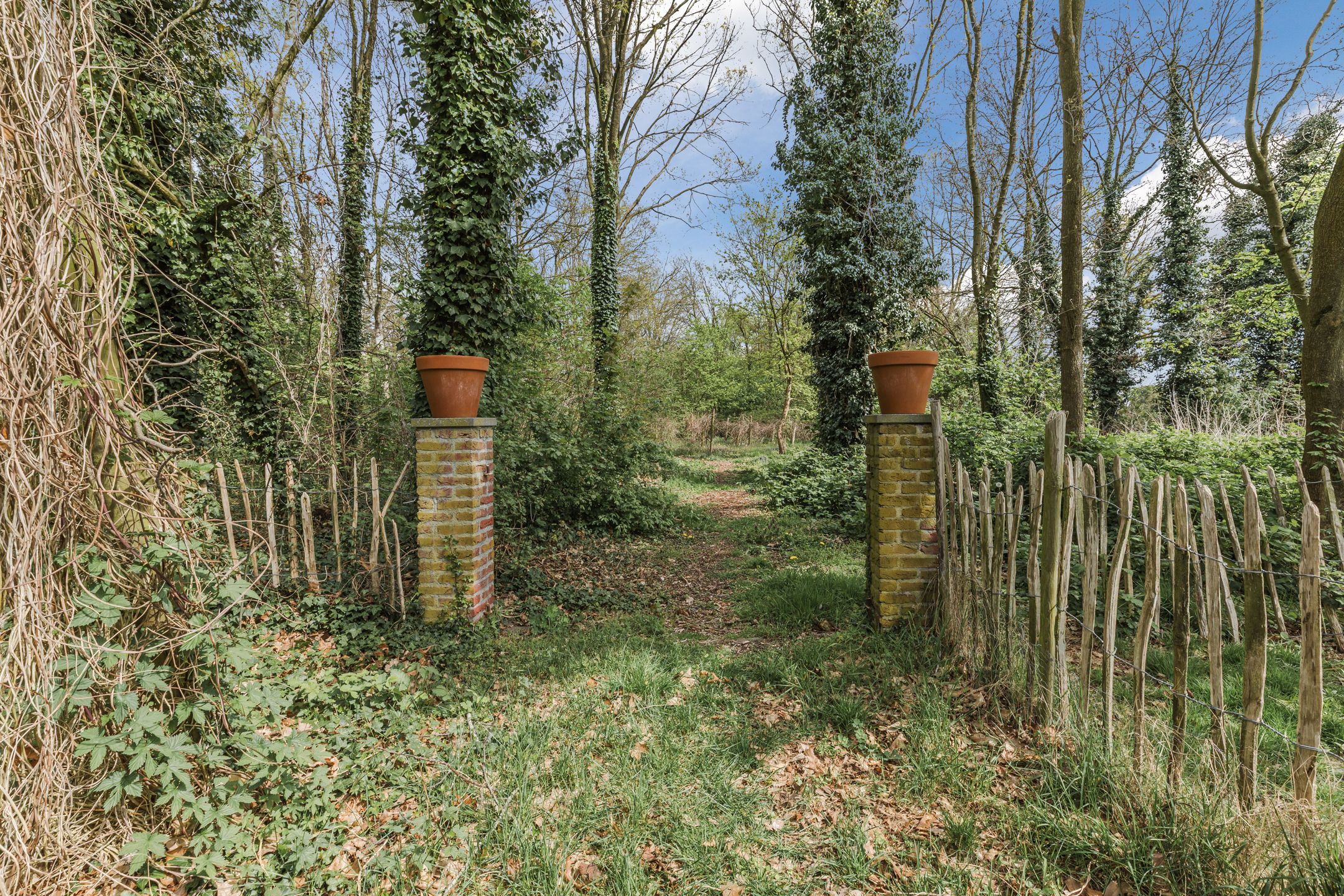 Foto 81 van Achterbos 10