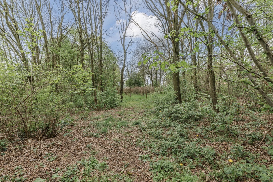 Foto 86 van Achterbos 10