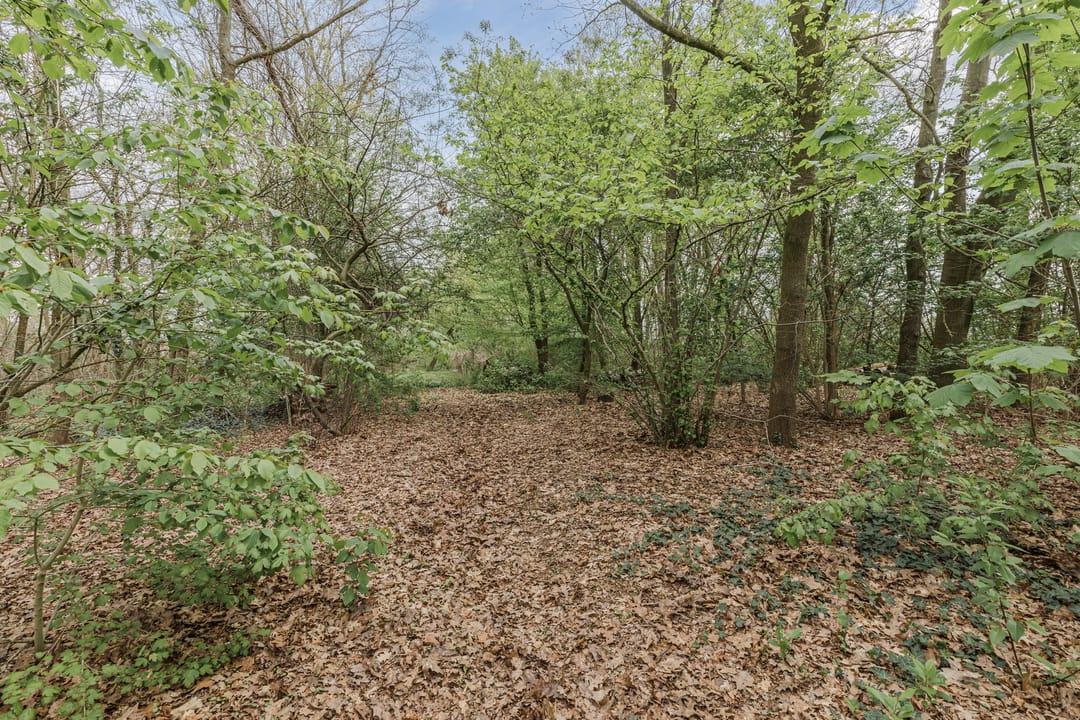 Foto 88 van Achterbos 10