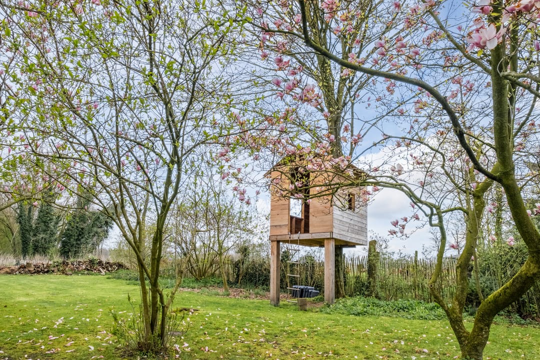 Foto 77 van Achterbos 10