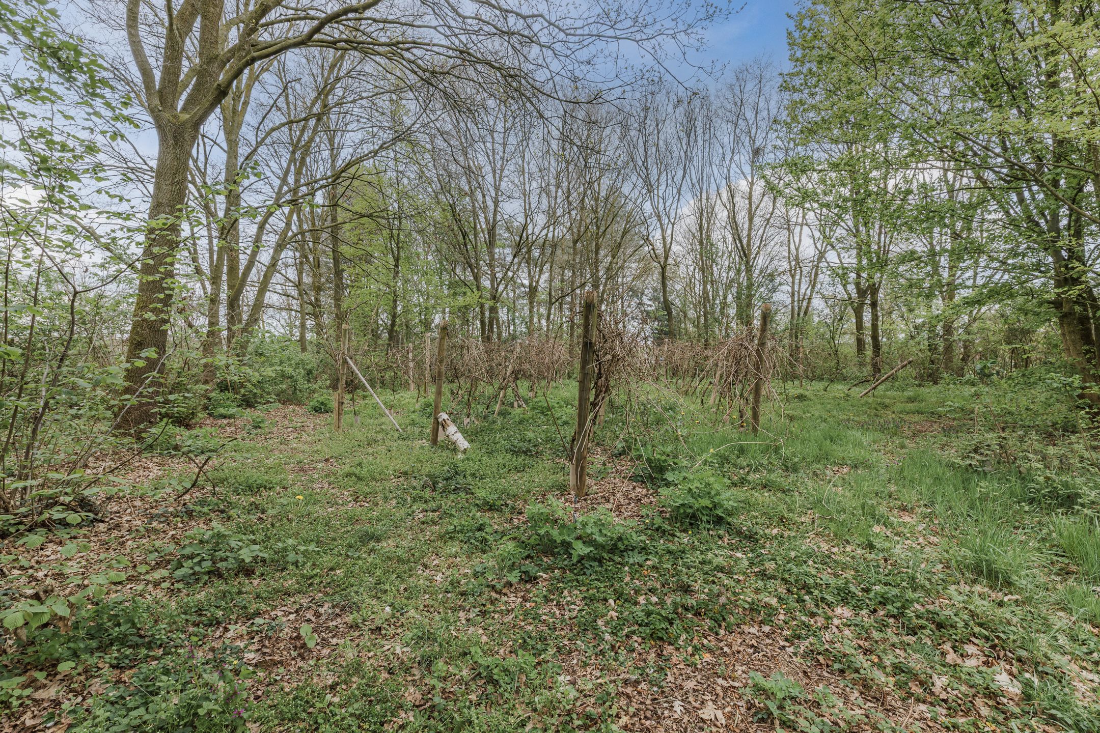 Foto 84 van Achterbos 10