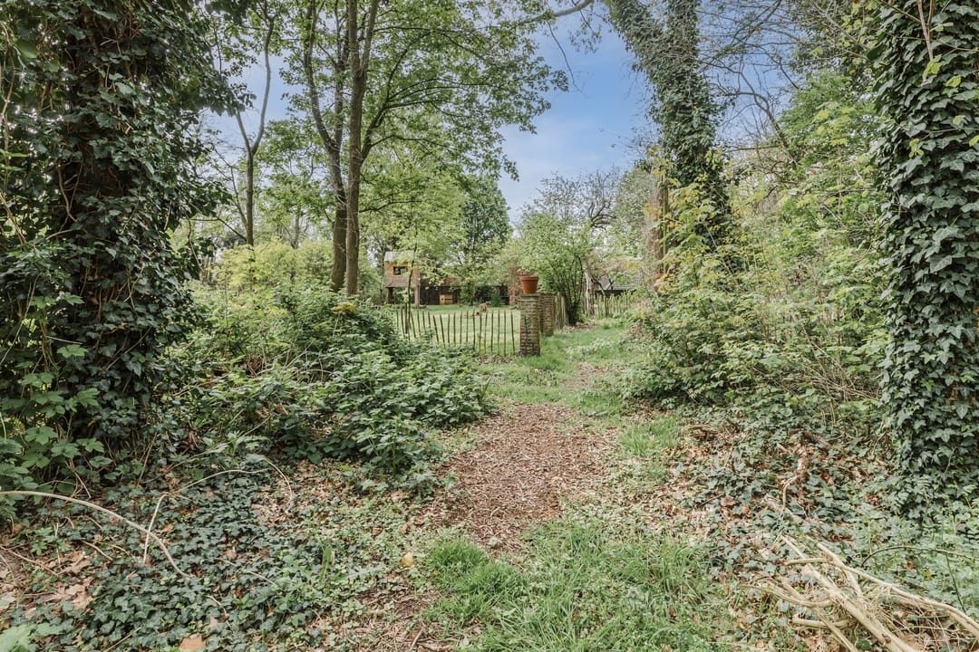 Foto 83 van Achterbos 10