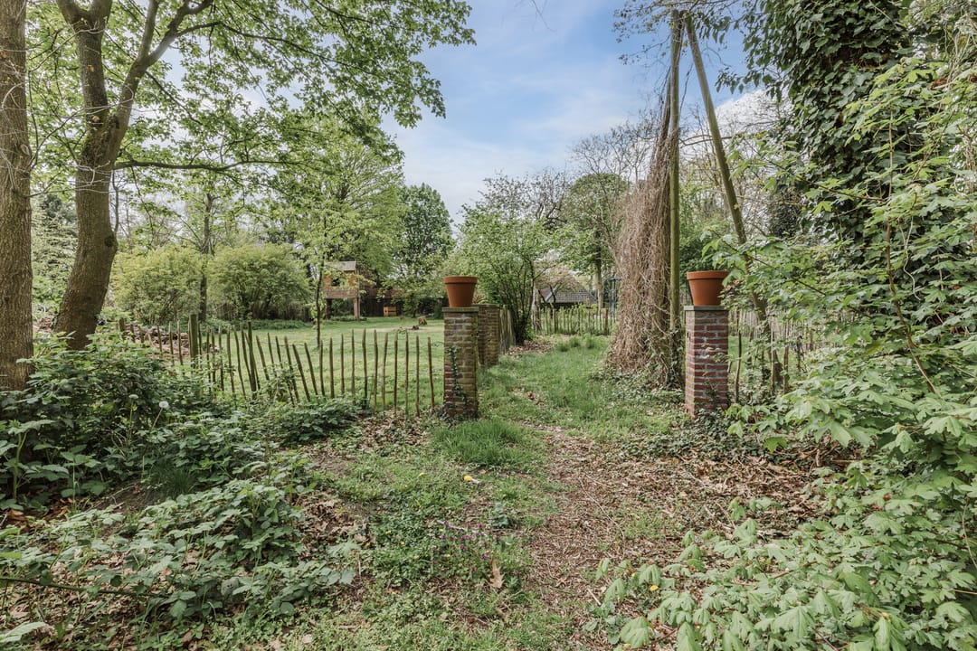 Foto 82 van Achterbos 10