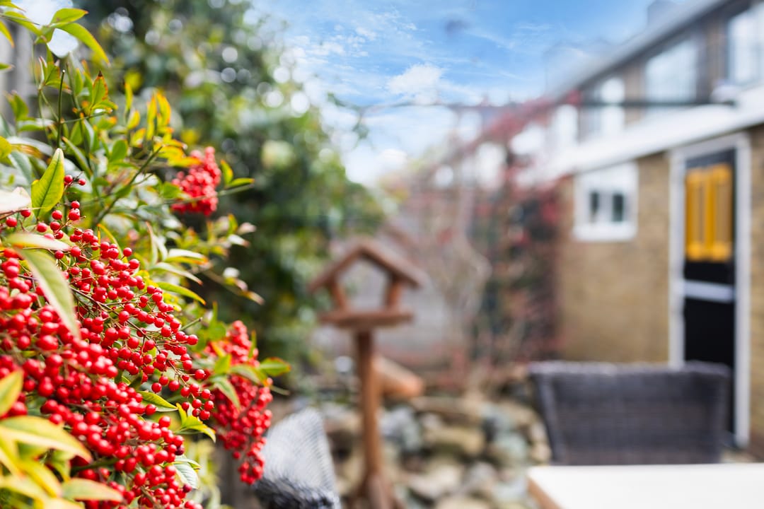 Foto 26 van Lijsterbesstraat 4