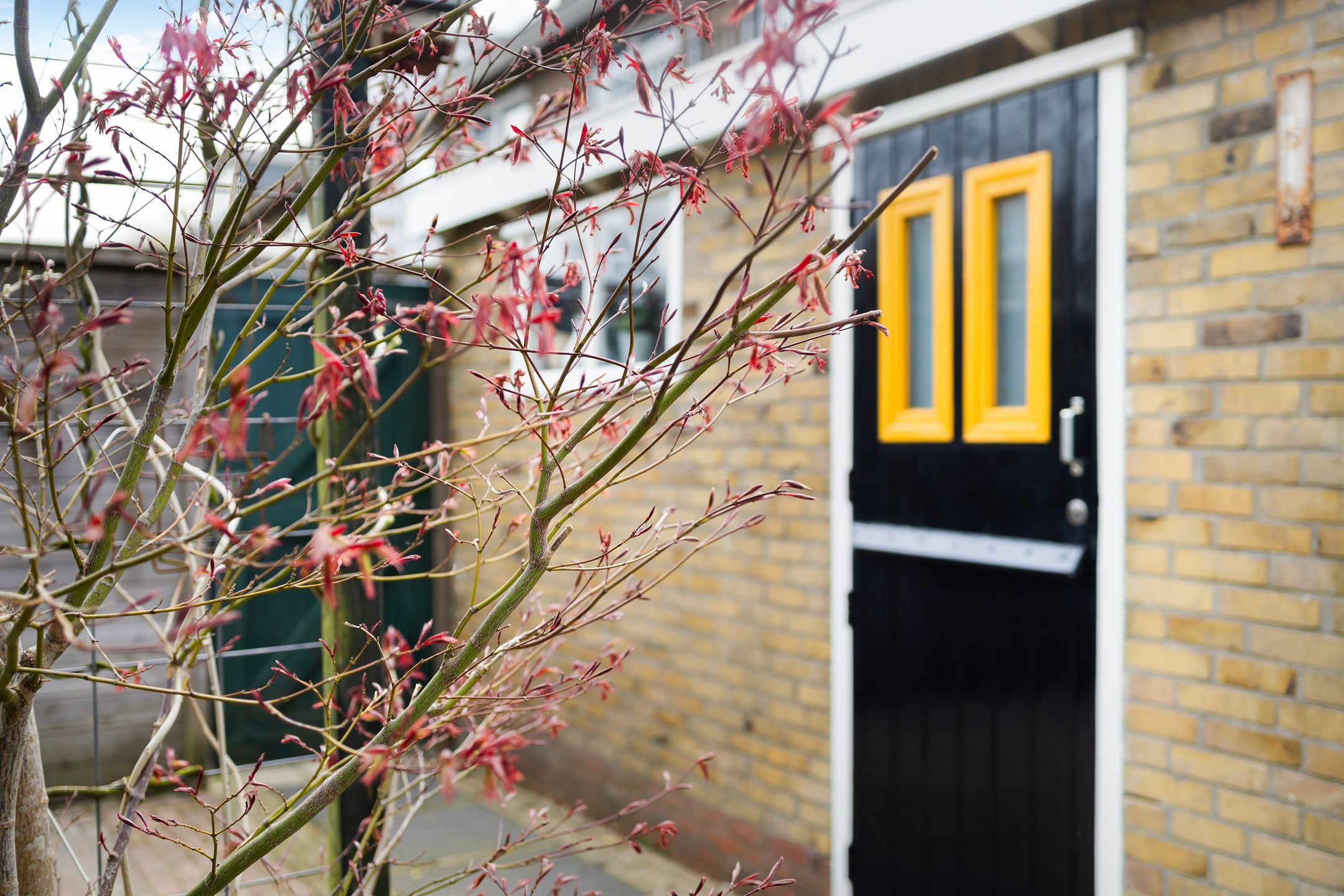 Foto 27 van Lijsterbesstraat 4