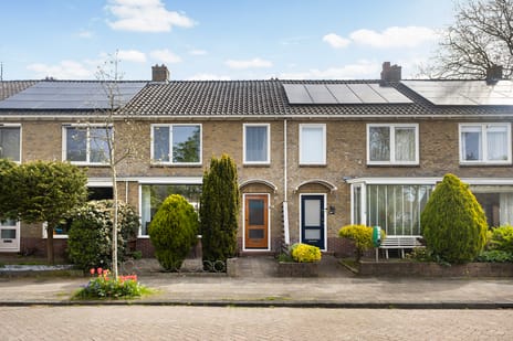 Lijsterbesstraat thumbnail