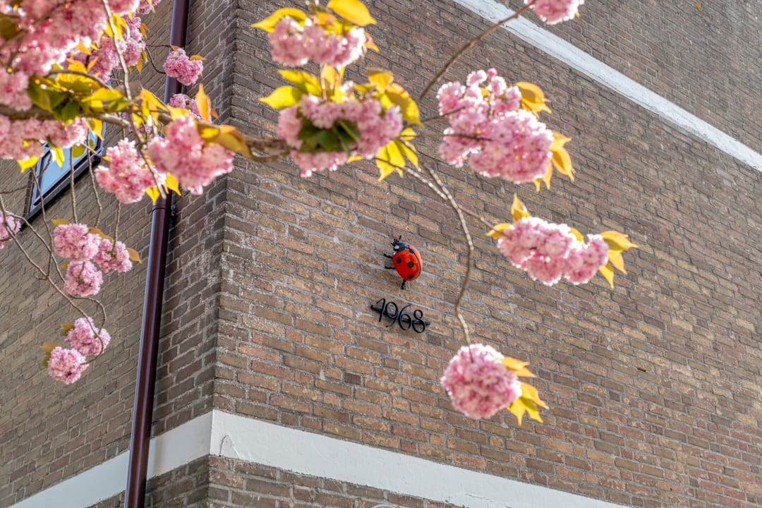 Foto 8 van Caustraat 44