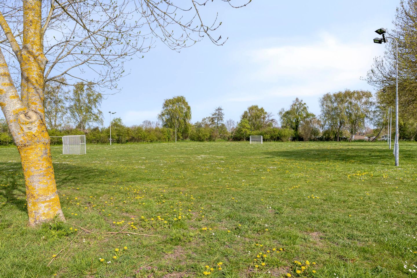 Foto 55 van Caustraat 44