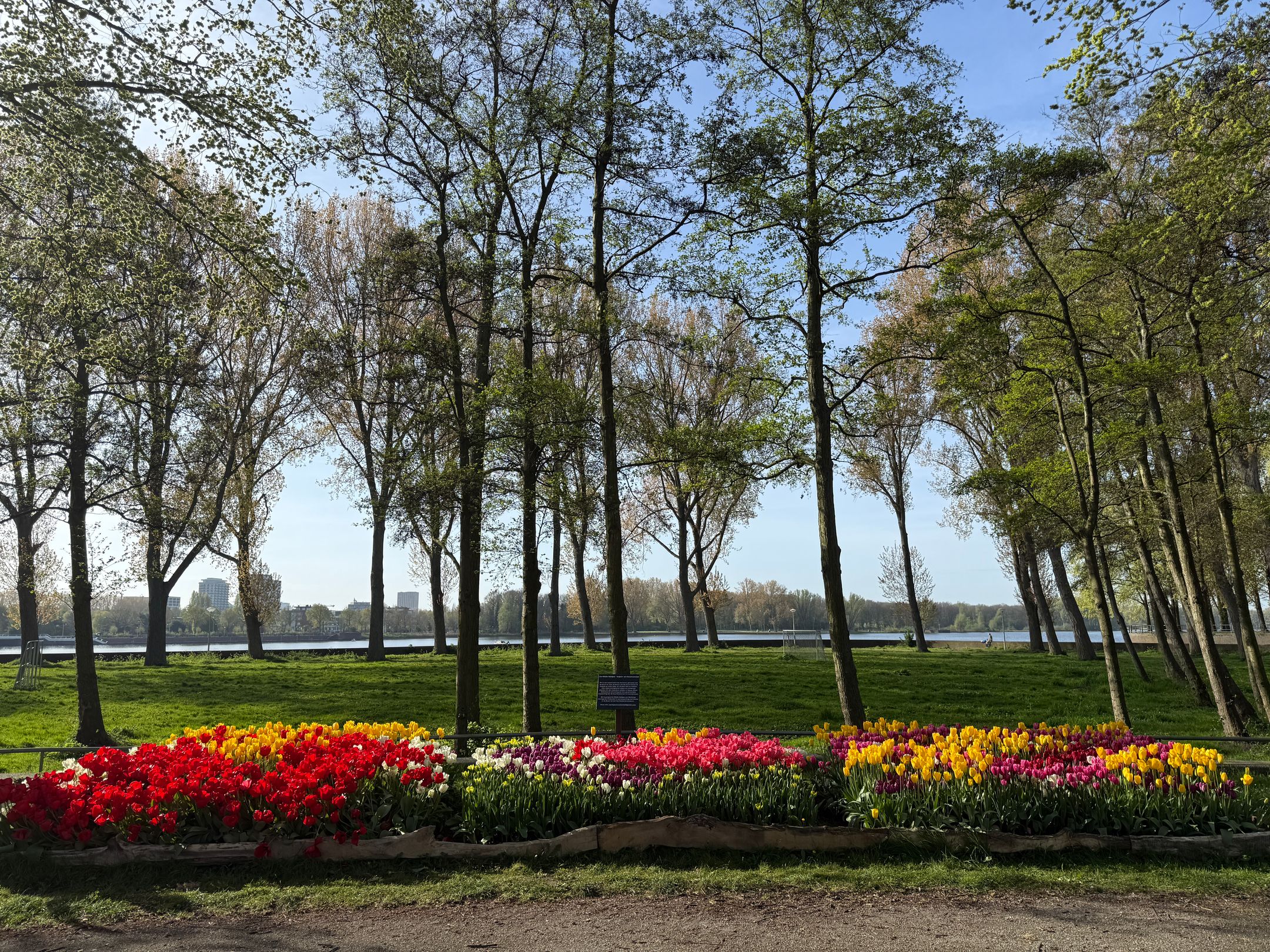 Spacious Apartment with Panoramic Views over Sloterplas — 30