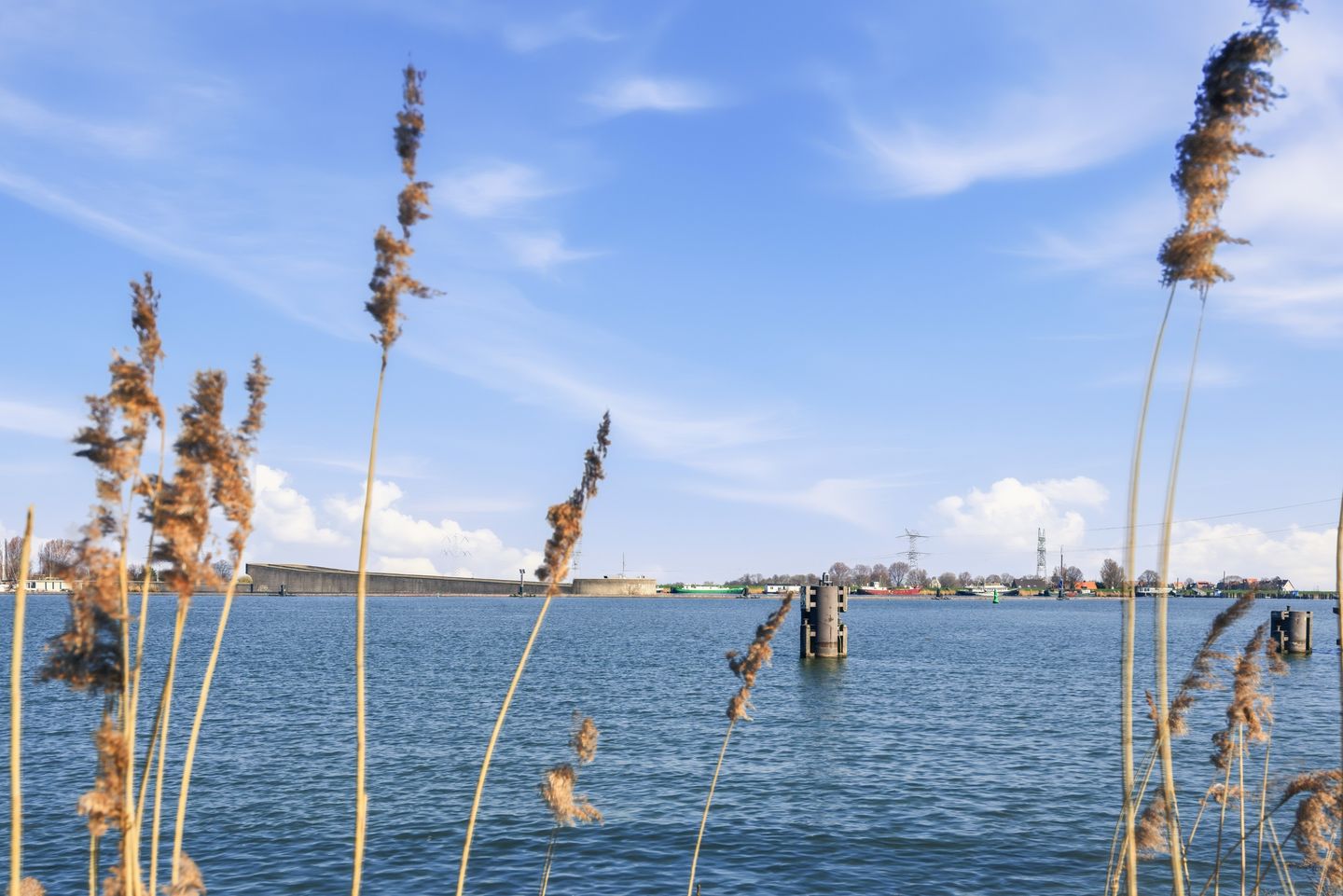 Photo 29 of Nida Senffstraat 167