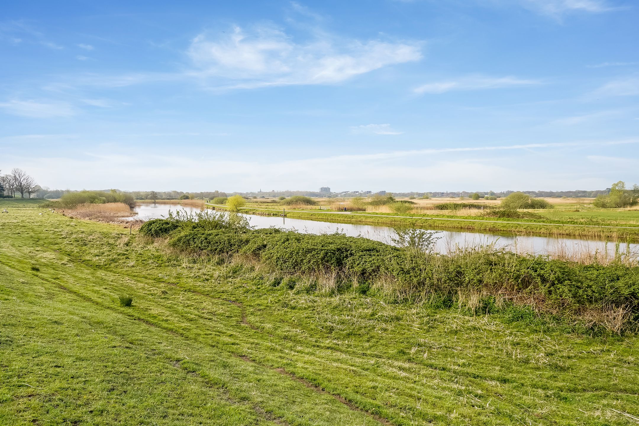 Photo 33 of Zuiderparkweg 264