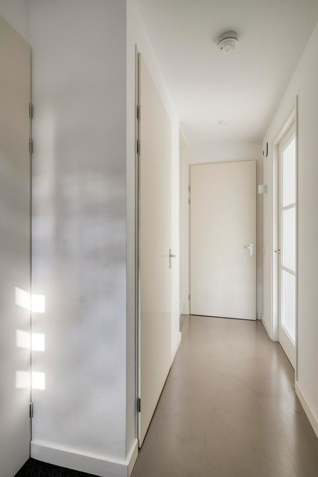 Foto 8 van Goudrenet 5