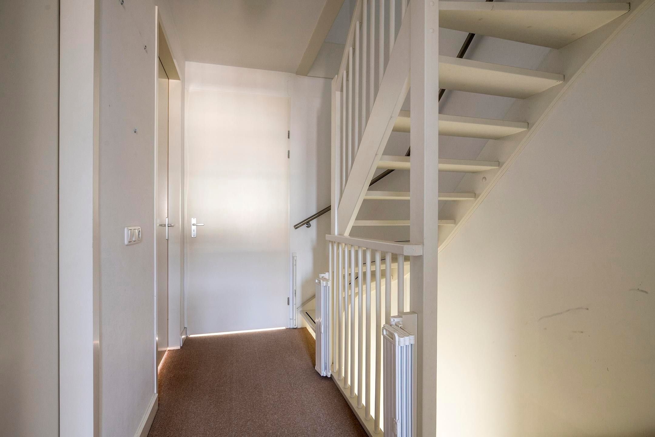 Foto 24 van Goudrenet 5