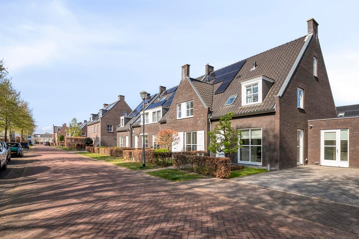 Foto 3 van Goudrenet 5