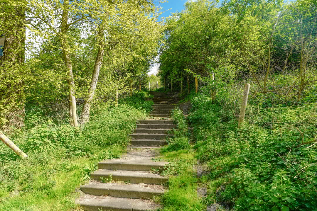 Foto 71 van Duinslag 23